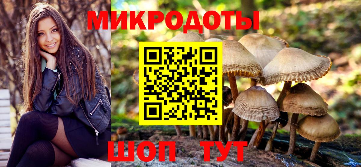 Реутов  Галлюциногенные грибы GOLDEN TEACHER  Вход с VPN 